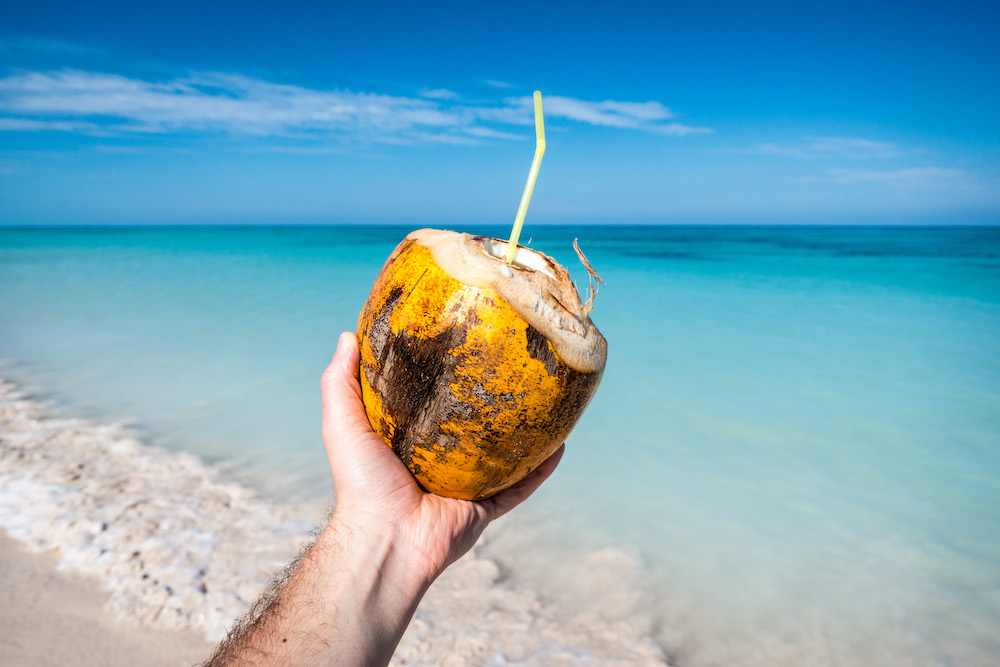 Drinking fresh young coconut on the beach. staying hydrated in cairns